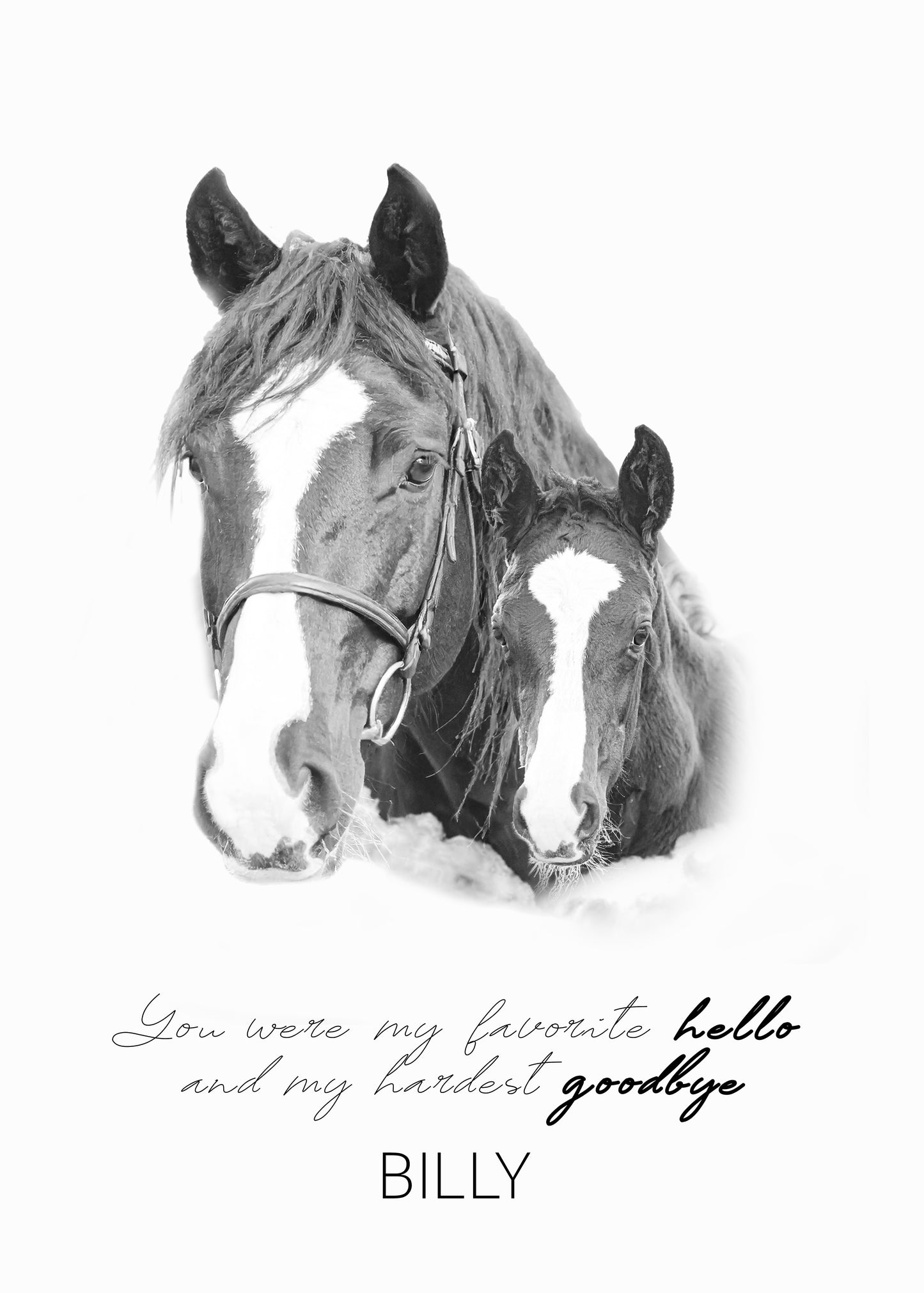 Custom horse memorial poster print