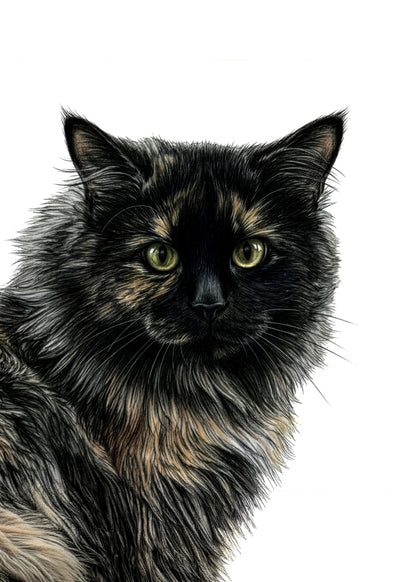 Personalized pet drawing portrait poster