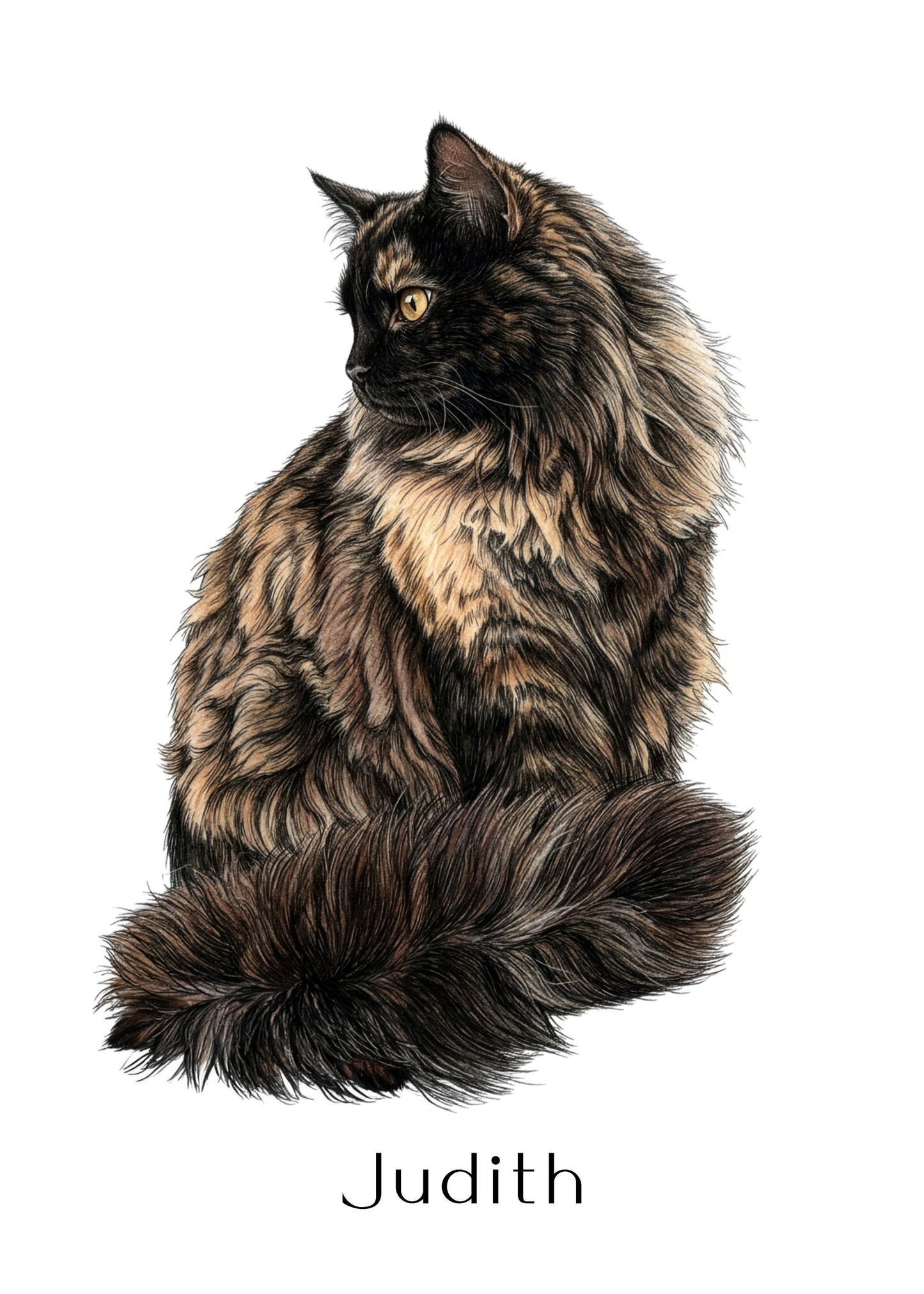 Custom cat portrait drawing personalized