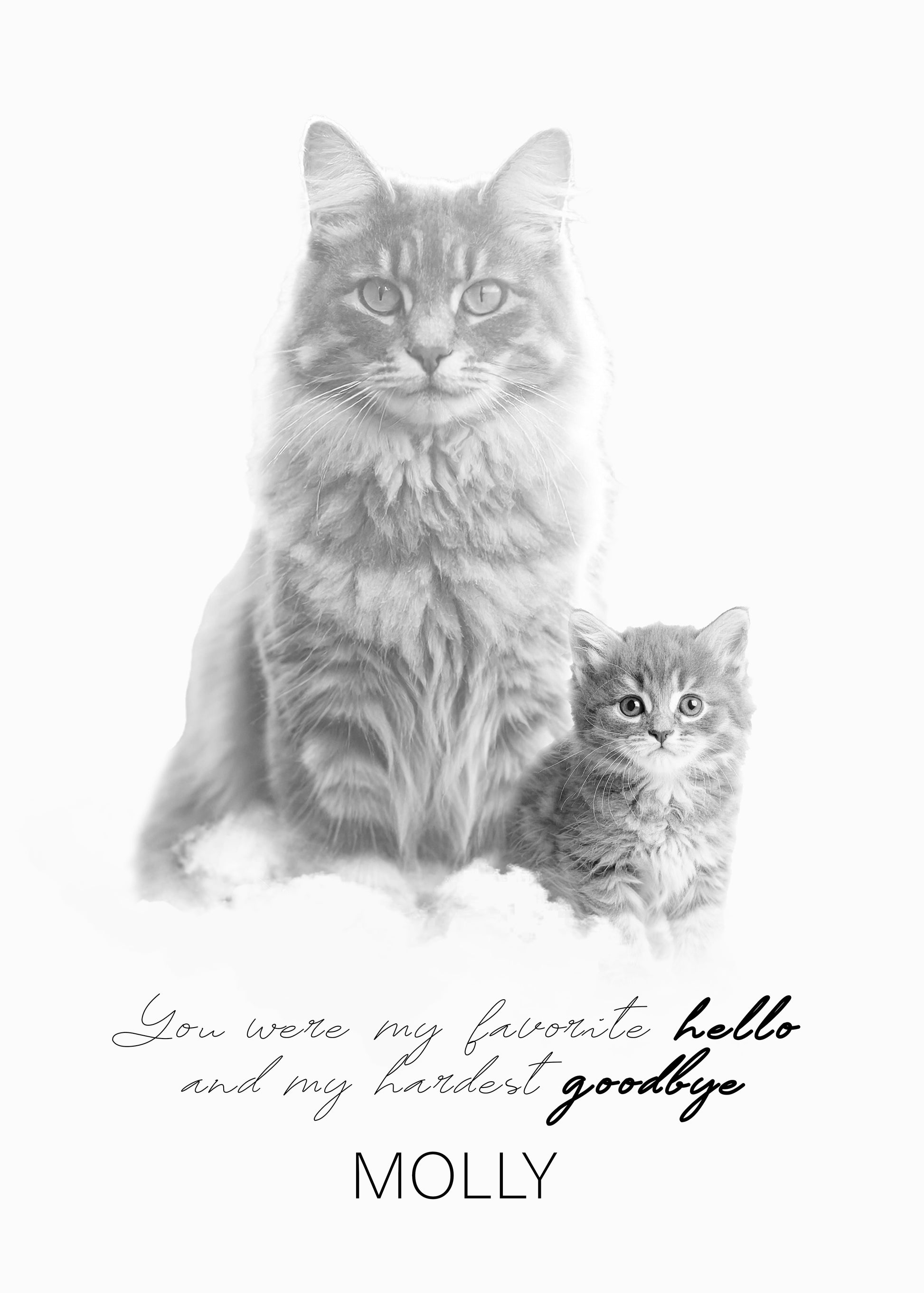 Custom cat memorial poster personalized with photo