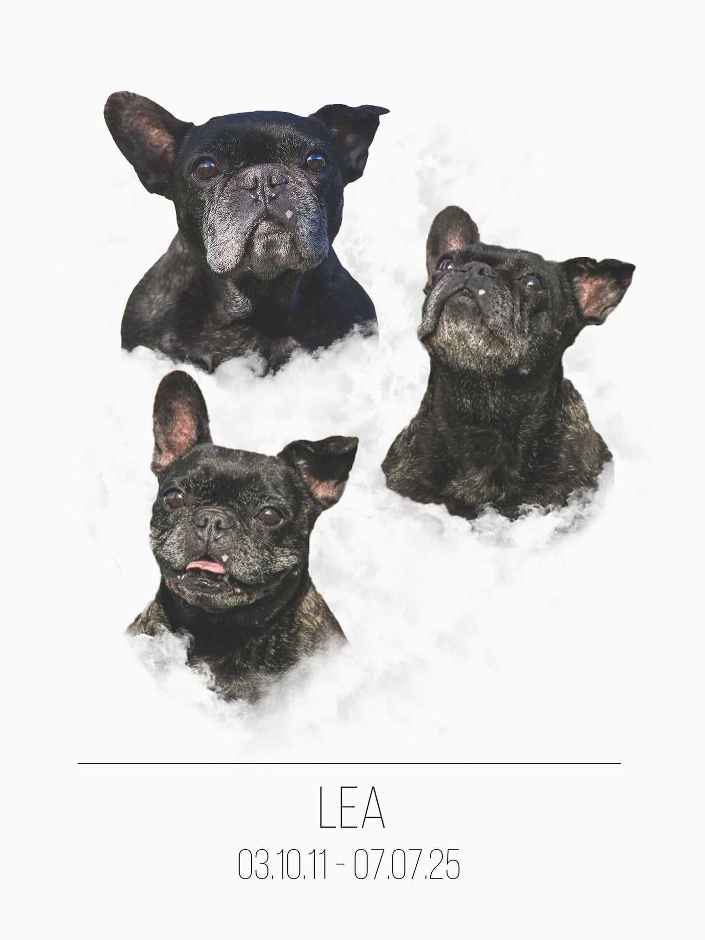 Custom dog memorial poster 30x40 cm with three photos