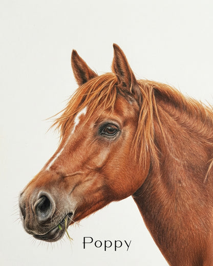 Custom horse portrait drawing poster