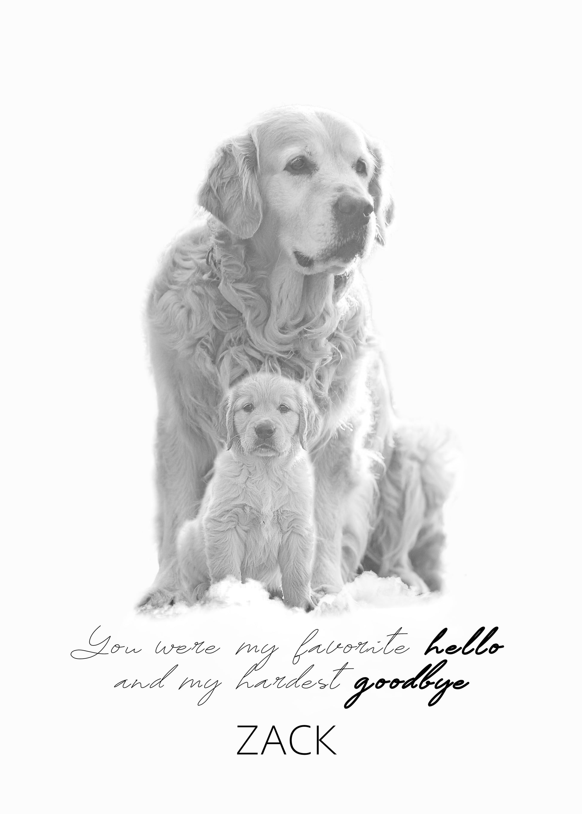 Black and white Golden Retriever memorial poster