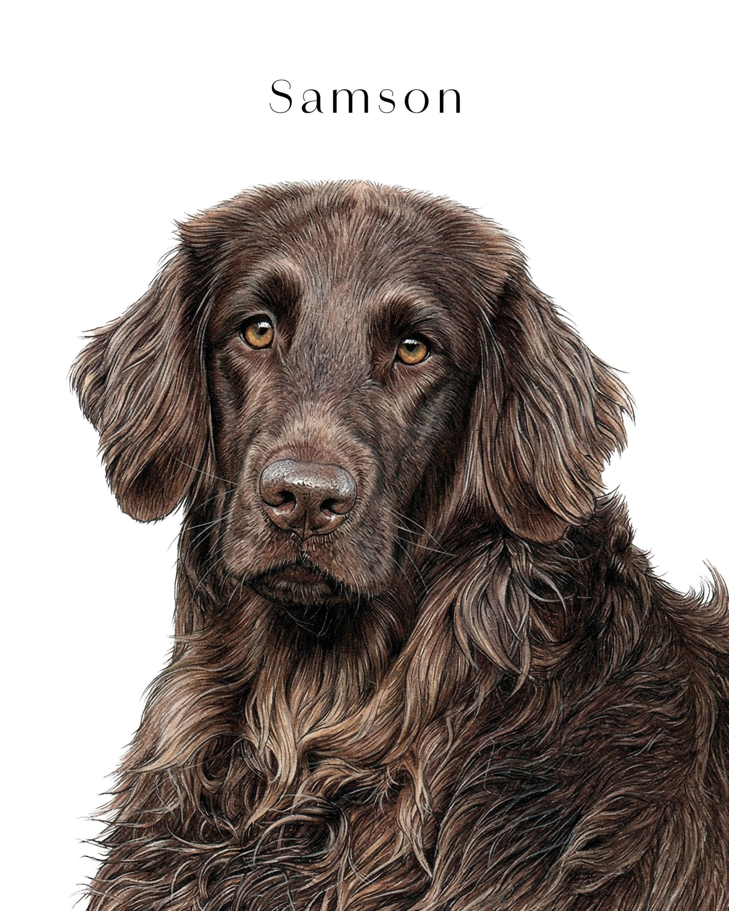Custom dog drawing portrait art print